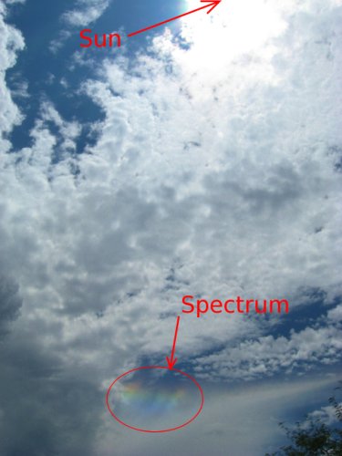 003-img_0007-annotated.jpg.medium.jpeg