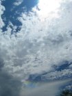 004-img_0007-enhanced.jpg.small.jpeg Circumhorizontal arc