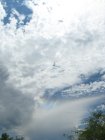 005-img_0008.jpg.small.jpeg Circumhorizontal arc