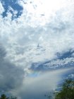 006-img_0008-enhanced.jpg.small.jpeg Circumhorizontal arc